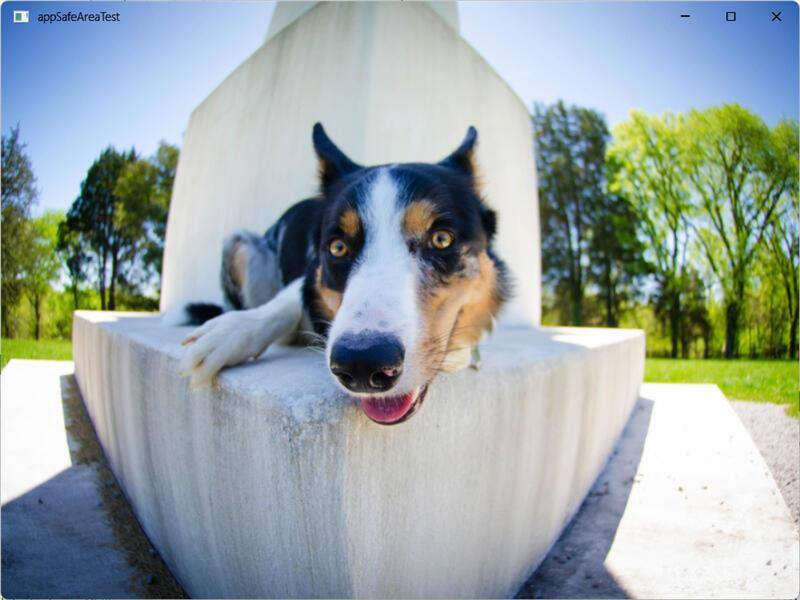 Picture of a dog, filling the entire window including the title bar and frame.